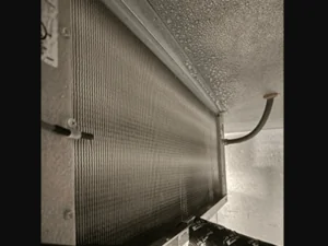 Repaired-the-drain-and-re-insulated