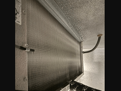 Repaired-the-drain-and-re-insulated