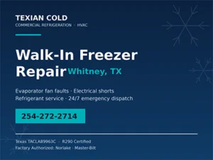Commercial walk-in freezer evaporator fan assembly serviced at a Whitney, TX facility